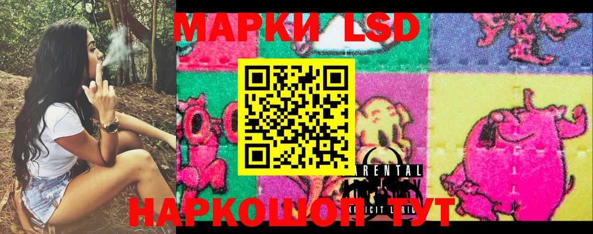 Марки NBOMe 1,8мг  Марки NBOMe 1,8мг  Горно-Алтайск  Марки NBOMe  Вход с VPN 